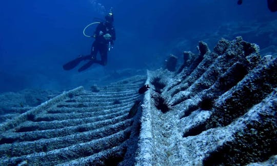 Reserve o Open Water Diver no Funchal, Madeira