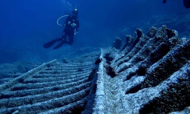 Réservez l'Open Water Diver à Funchal, Madère