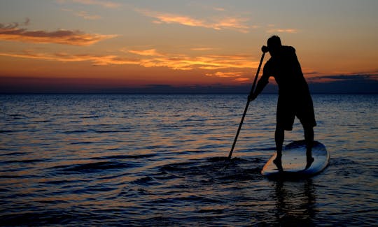 Rent a Stand Up Paddleboard in Madeira