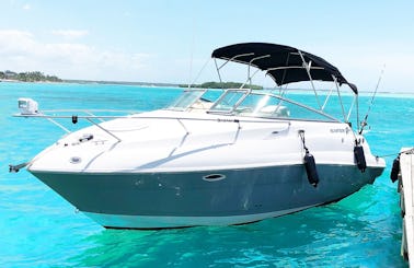 VIP-Yachting for up to 8 People in Boca Chica, Dominican Republic
