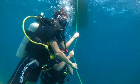 Learn Scuba Diving! Get Your PADI Certificate in Trincomalee, Sri Lanka