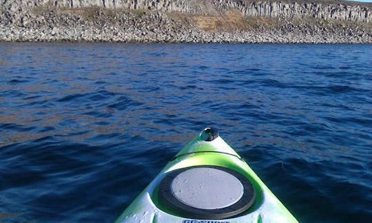 Reserve el viaje en kayak por los pájaros y la playa en Selfoss, Islandia