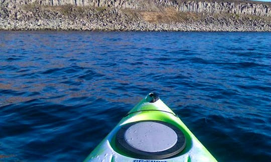 Book the Birds And The Beach Kayak Trip in Selfoss, Iceland
