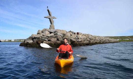 Reserve el viaje en kayak por los pájaros y la playa en Selfoss, Islandia