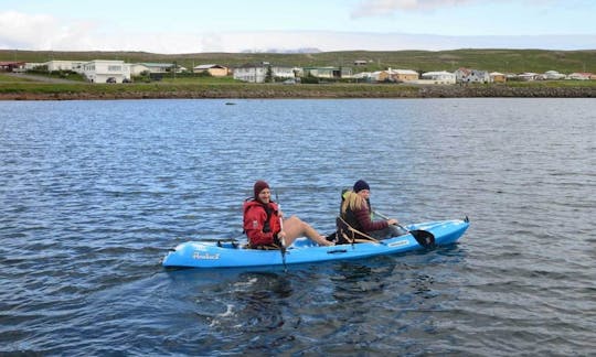 Reserve el viaje en kayak por los pájaros y la playa en Selfoss, Islandia