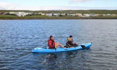 Book the Birds And The Beach Kayak Trip in Selfoss, Iceland