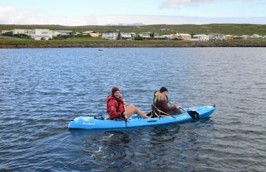 Book the Birds And The Beach Kayak Trip in Selfoss, Iceland