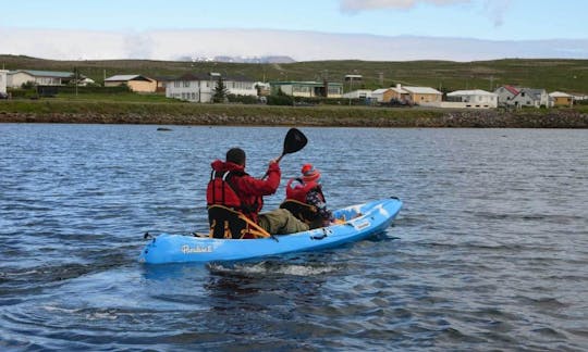 Reserve el viaje en kayak por los pájaros y la playa en Selfoss, Islandia