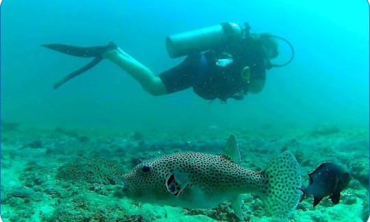 スリランカのカンダクリヤの水中世界を探検しよう