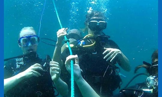 スリランカのカンダクリヤの水中世界を探検しよう