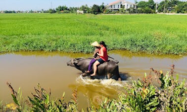 Buffalo d'eau et bateau à panier à louer à Hoi An, Vietnam