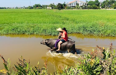 Water Buffalo and Basket Boat for Rent in Hoi An, Vietnam