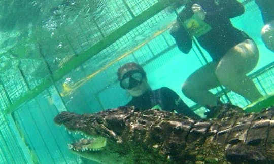 Crocodile Cage Diving in Simondium, Paarl