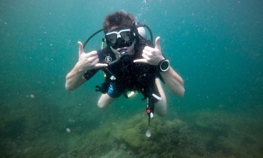 Scuba Diving Trips Around Famous Phuket Dive Sites with Award Winning SSI Diamond Dive Center