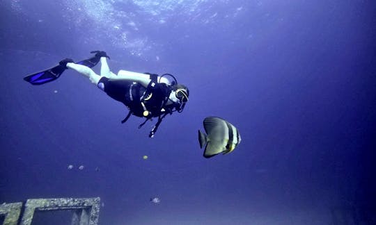 Scuba Diving Trips Around Famous Phuket Dive Sites with Award Winning SSI Diamond Dive Center