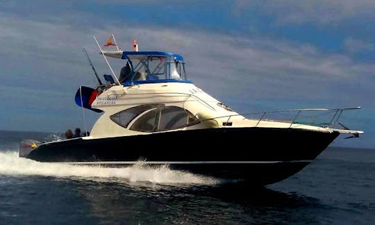 Licensed boat to do snorkel charters, experiential fishing. Pinzon Is, La Fe, Daphne, Borrero beach, Santa fe, Playa Escondida, El Eden.