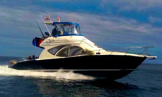 Licensed boat to do snorkel charters, experiential fishing. Pinzon Is, La Fe, Daphne, Borrero beach, Santa fe, Playa Escondida, El Eden.