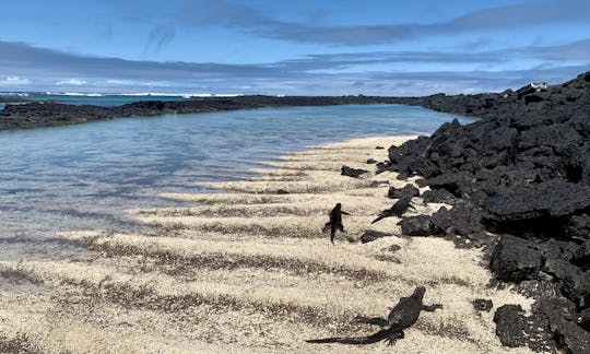 ガラパゴス諸島、プエルトアヨラでのシュノーケリングと体験フィッシング