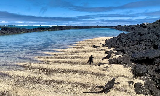Snorkeling and Experiential Fishing in Puerto Ayora, Islas Galápagos