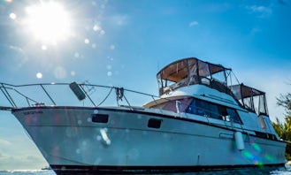 40' Sylverton Motor Yacht Charter - Friendly North Sound Exploration, Swim, Snorkel, Relax :)