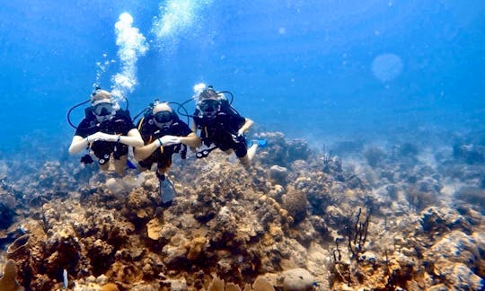 Scuba Diving Trips and Recreational Diving Courses in Punta Cana, Dominican Republic!