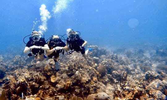 Scuba Diving Trips and Recreational Diving Courses in Punta Cana, Dominican Republic!