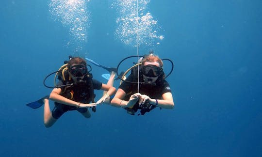 Scuba Diving Trips and Recreational Diving Courses in Punta Cana, Dominican Republic!