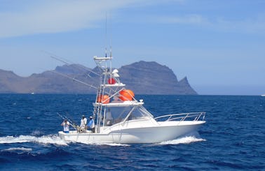 37' Express Jersey Big Game Fishing Charter in Mindelo, São Vicente with Captain Giorgio