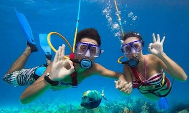 Excursão privada de Snuba em Virgin Gorda, Ilhas Virgens Britânicas