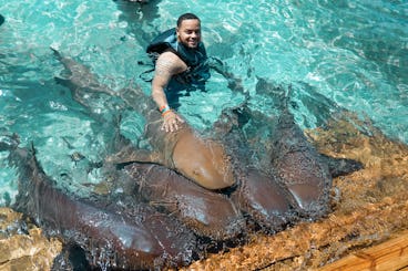 Nassau: Swim with Nurse Sharks, Swimming Pigs, Snorkel