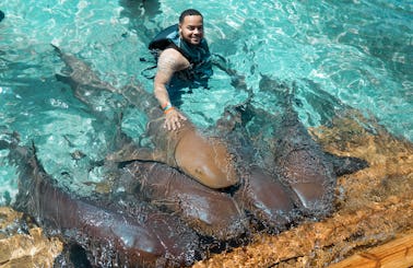 Nassau: Swim with Nurse Sharks, Swimming Pigs, Snorkel