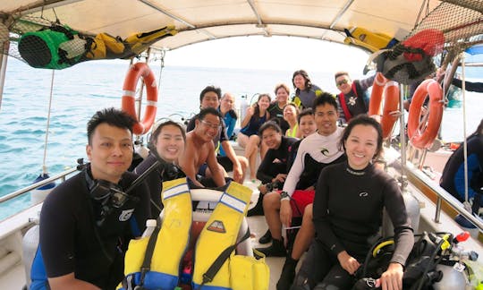 Leisure Dive Trips on Tioman Island with Highly Experienced Dive Guide