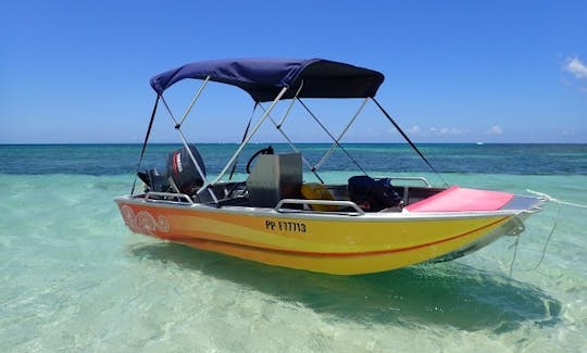 Location d'une console centrale Boston Whaler de 13 pieds à Sainte Rose Basse-Terre