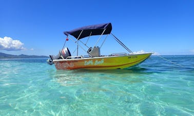 13' Boston Whaler Center Console Rental in Sainte Rose Basse-Terre