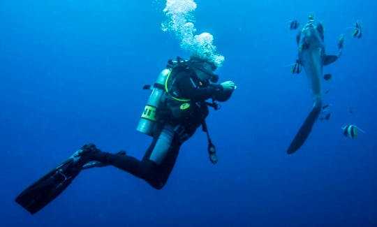 PADI Diving Courses with Professional Dive Instructor in Bali, Indonesia!
