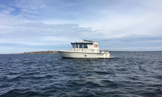 水上タクシーサービス-オーランド諸島、マリハムンでの2時間ガイド付き水上タクシーツアー