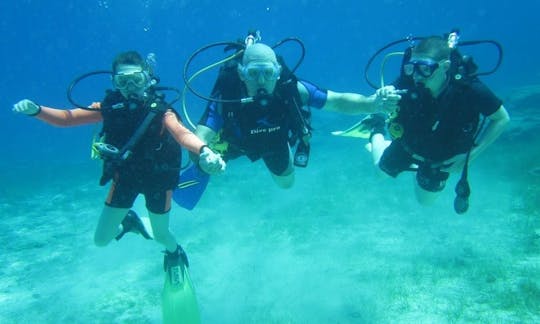 Discover Scuba Diving, Diving Trips for Certified Divers in Eastern Cyprus!