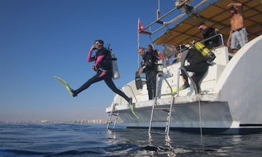 Découvrez la plongée sous-marine, des excursions de plongée pour plongeurs certifiés à Chypre orientale !