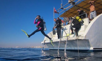 Discover Scuba Diving, Diving Trips for Certified Divers in Eastern Cyprus!