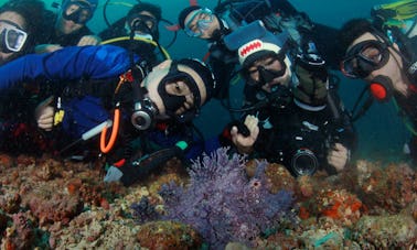 PADI Open Water Certification (3-4 Days Course) from Pasig, Metro Manila, Philippines!