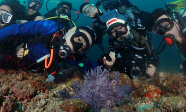 Certification PADI Open Water (cours de 3 à 4 jours) depuis Pasig, dans la région métropolitaine de Manille, aux Philippines !