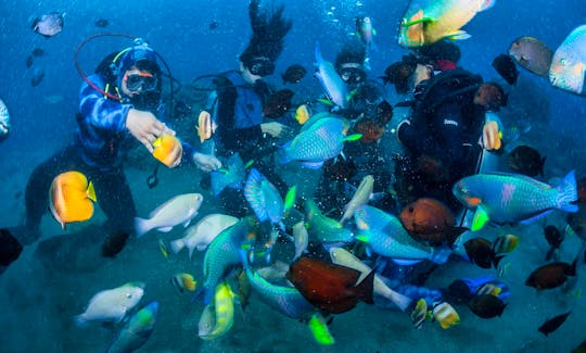 PADI Open Water Certification (3-4 Days Course) from Pasig, Metro Manila, Philippines!