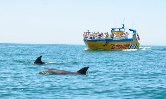 Dolphin and watching trip oman tours  muscat tours