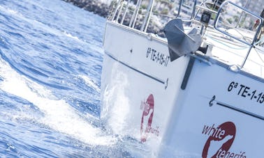 テネリフェ島でのモノハルレンタル