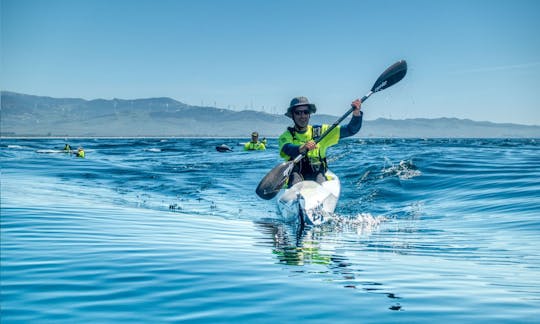 Kayak Rowing Lesson in the Dor Shore Lagoon, in Tel Aviv, Israel