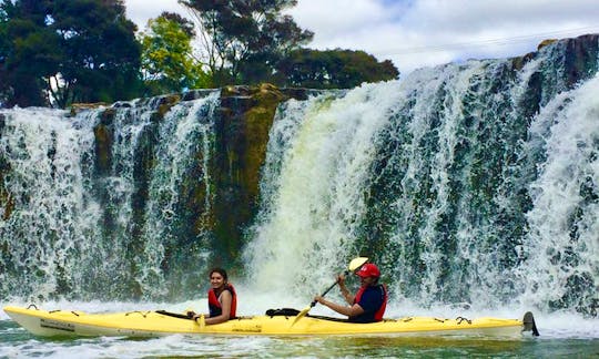 3 Hour Guided Kayaking Tour Around Bay of Islands Up to Haruru Falls Waterfall