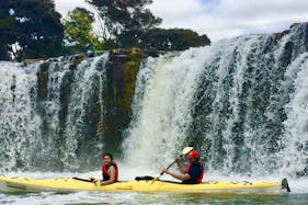 3 Hour Guided Kayaking Tour Around Bay of Islands Up to Haruru Falls Waterfall