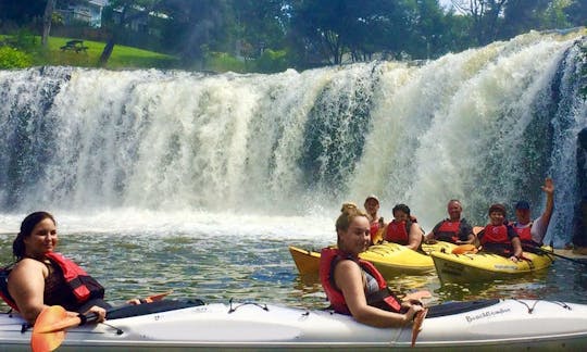 3 Hour Guided Kayaking Tour Around Bay of Islands Up to Haruru Falls Waterfall