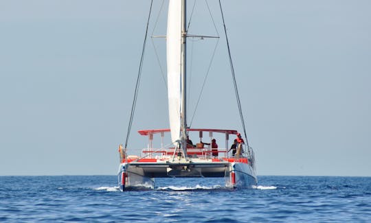 Eco catamaran to see and listen whales in Tenerife