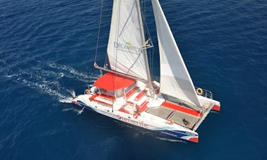 Eco catamaran to see and listen whales in Tenerife